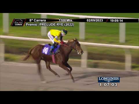 230902 c08 DEMENTITA