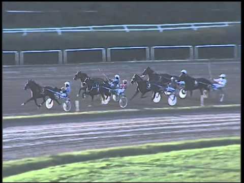 Trotto 02/11/2014 - 4° corsa - G.P. ANACT (Femmine)