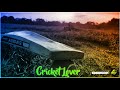 Cricket Lover Cricket Whatsapp Status Tamil Enjoy Life