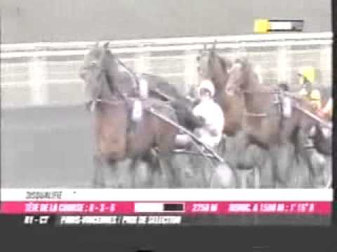 Prix de Selection 2010 -Saxo de Vandel