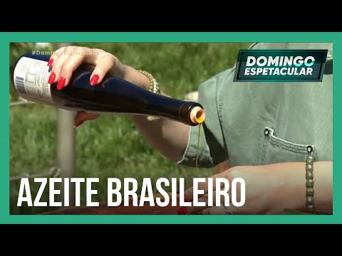 Conheça o segredo do azeite brasileiro que já ganhou vários prêmios