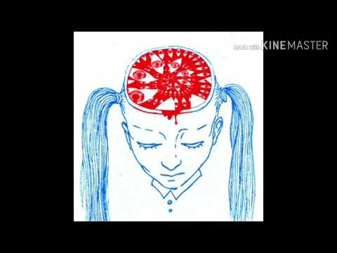 Swaghollywood x Trapgokrazy - Rookie