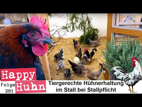 , title : 'Artgerechte Hühnerhaltung im Stall trotz Stallpflicht! Hühner während Vogelgrippe - HAPPY HUHN E281'