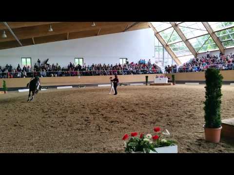 Voltigierverein Eichstätt - Pferd International München Riem - L-Einzelkür Ronja Förster 5/2015