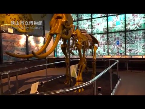 狭山市立博物館