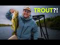 The Bass Lessons That'll Make You a Better Trout Angler | Ep. 180