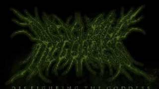 Disfiguring The Goddess- Teeth Of Emultion (lyrics)