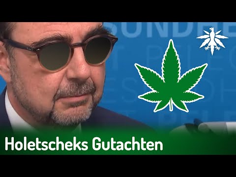 Holetscheks Gutachten gegen Legalisierung | DHV News # 371