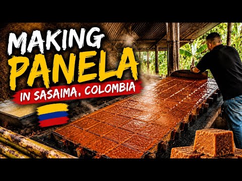 How Panela Is Made | A Traditional Sugarcane Mill in Colombia