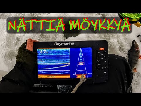 AHVENEN MURIKOITA- KOOSTE (KOLMELTA JÄRVELTÄ) JA KUULUMISIA