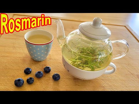 Rosmarin Tee:  geheime Heilpflanze, die Wirkung sagt dir kein Arzt