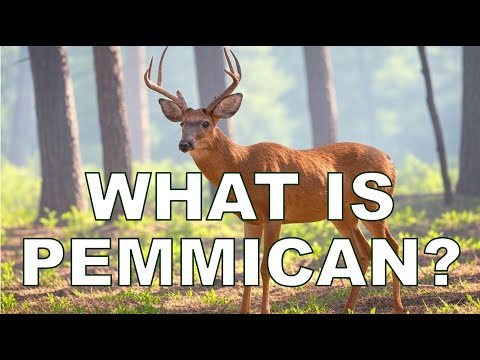 Venison Pemmican Bars