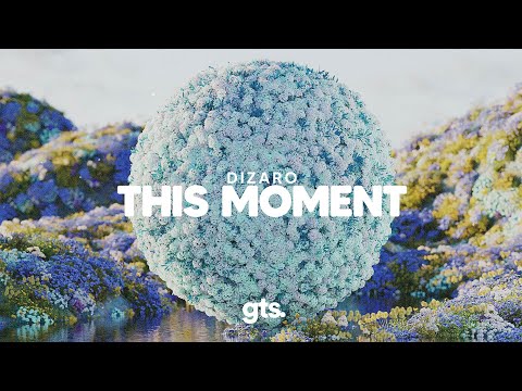 Dizaro - This Moment