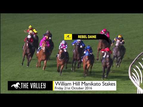 The Valley Preview - Keogh Homes William Reid Stakes - 24/03/2017