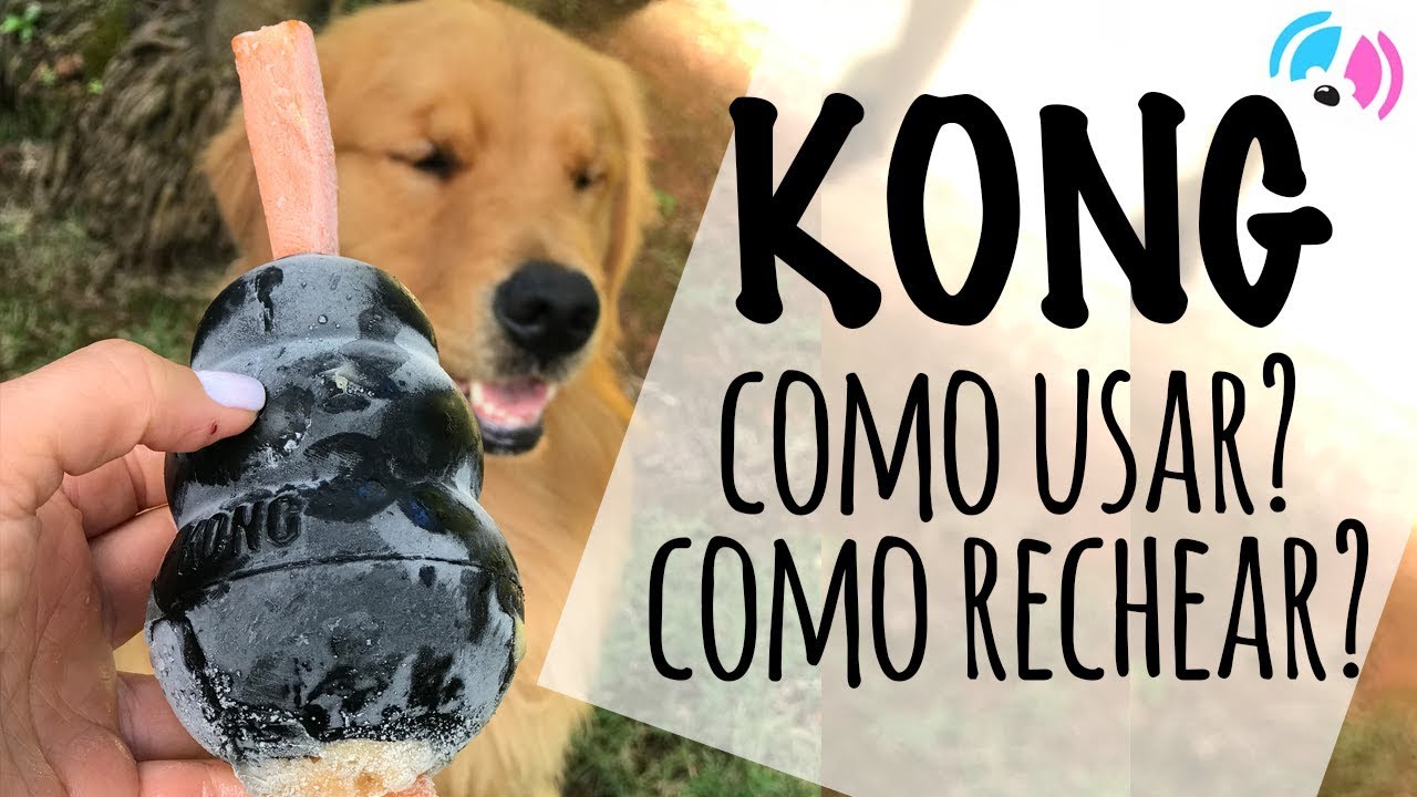 COMO RECHEAR O KONG - para entreter seu cão?
