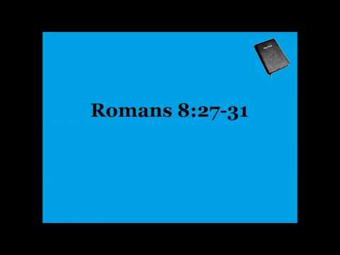 Romans 8:27-31