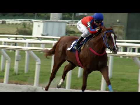 221223 c05 NANDINA (BRZ)