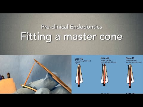 Fitting a master cone