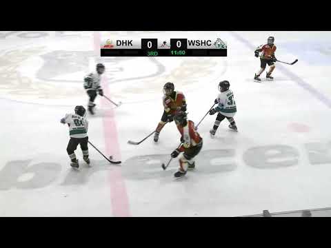 Összefoglaló: U12 352 DHK B- White Sharks HC | 2022. 01. 09.