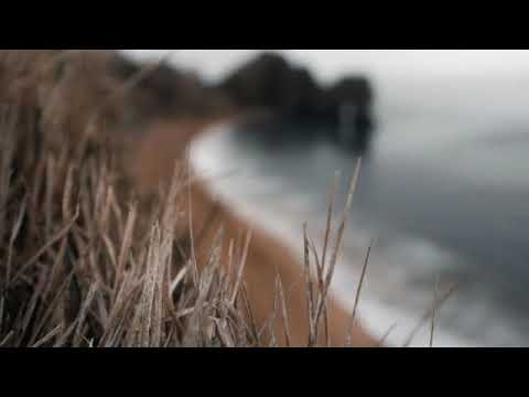 Zac F -  Nightingale