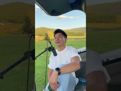 туульс#tuulis cover