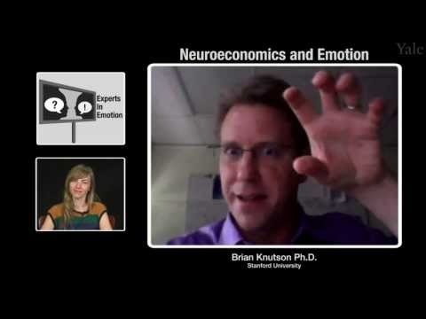 Brian Knutson on Neuroeconomics and Emotion