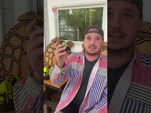 Shorts: Share the Love with Sea Turtles