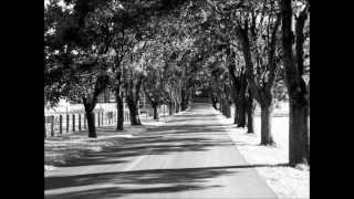 Midwest Midnight - Michael Stanley Band