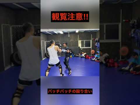 スパーリングの様子です！#格闘技 #総合格闘技 #キックボクシング #スパーリング #BLUEHOUSE  #宮崎市 #ガチスパーリングしたい方はDM下さい #喧嘩 #殴り合い #ベイビー東京