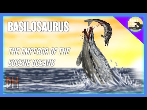 Basilosaurus: The Emperor of the Eocene Oceans