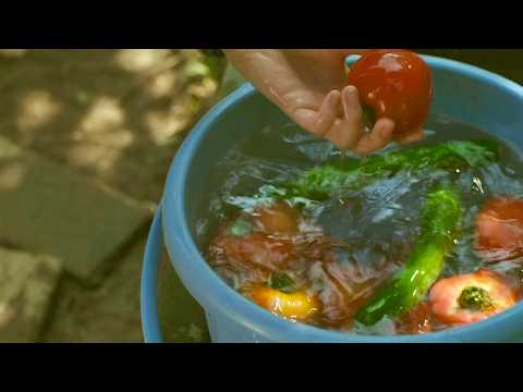 Summer Memories [calm lofi beats for comfort]