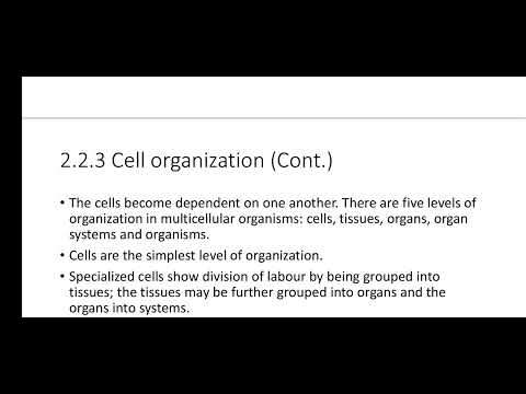 Grade 10 Biology, Chapter 2, 2.2.3 Cell Organization