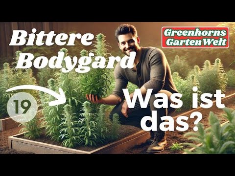 Der bittere Bodyguard für deinen Garten! 🌿❄️Wermut