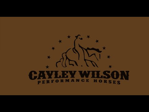 CR Tuffs Magic Tonic 2015 NWRCHA Cowgirl Classic