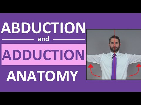Abduction and Adduction of Wrist, Thigh, Fingers, Thumb, Arm | Anatomy Body Movement Terms