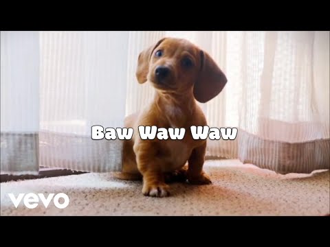 FrancisM - Baw-waw-waw