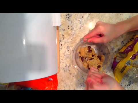 How to make easy bake oven chocolate chip cookies from scratch