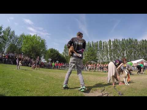 Meksykańska fala @ Finał EFC 2017 / The wave by spectators @ Final EFC 2017