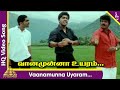 Vaanamunna Uyaram Video Song  | Manmadhan Tamil Movie Songs | Silambarasan | Jyothika| Yuvan Shankar