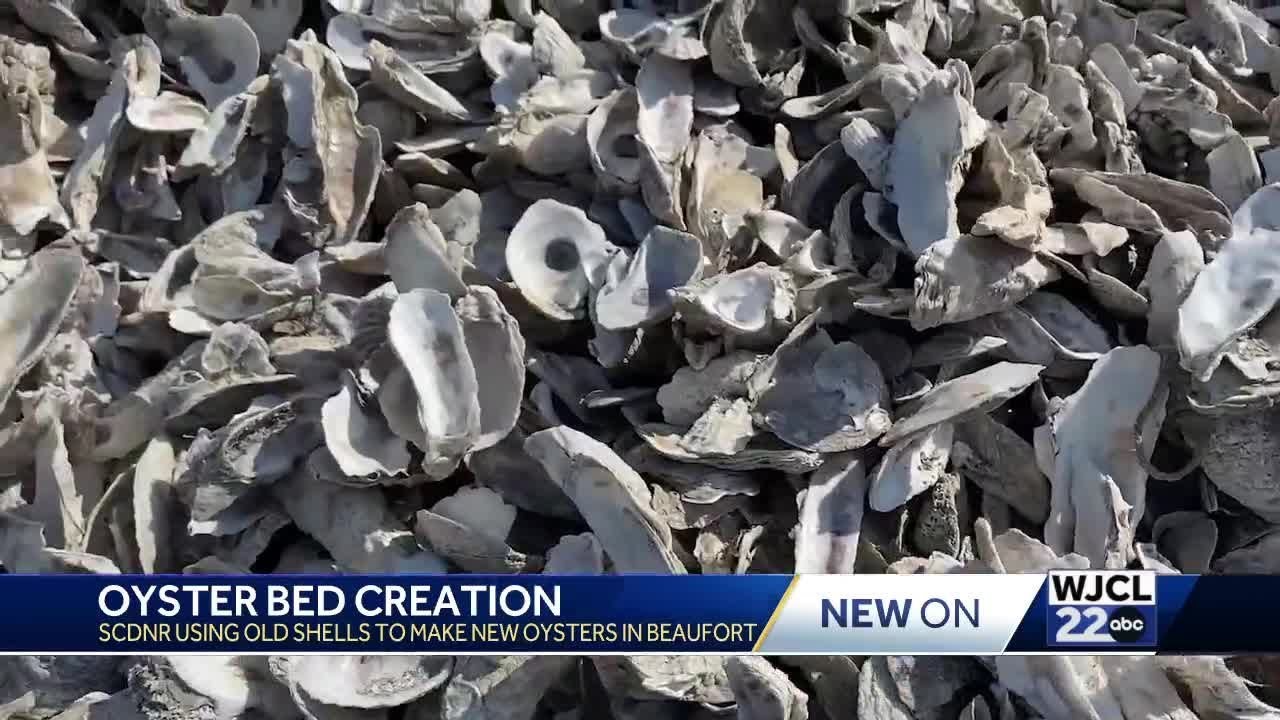 South Carolina DNR creates homes with recycled oysters shells