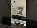 Closing To The Rescuers Down Under 1991 VHS