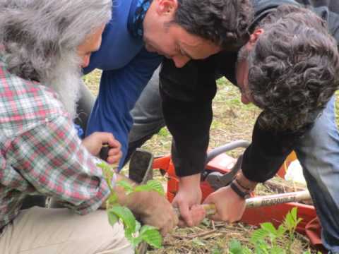 2016 Far rinascere un borgo abbandonato - Il Villaggio Laudato Si' a Prato