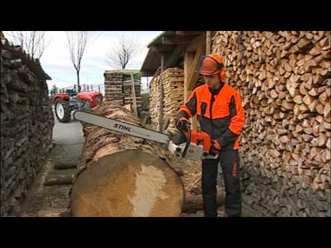 Stephan Rossegger Folge 2 Kettensäge