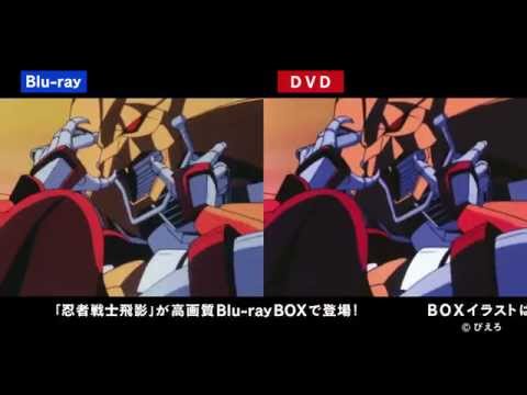 Ninja Robots