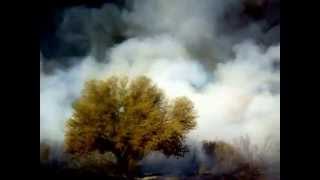 preview picture of video 'Incendios Forestales en Monte Coman, San Rafael,Mendoza, Argentina.'