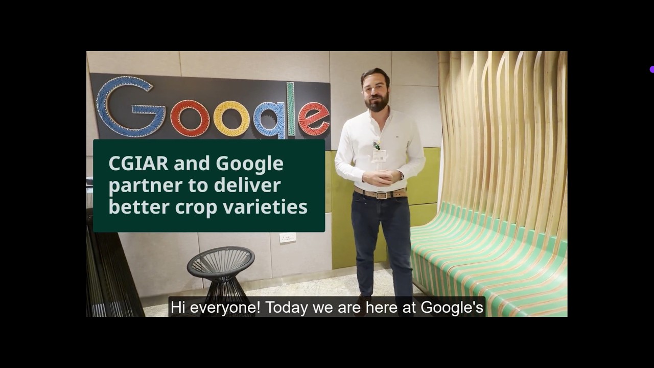 CGIAR & Google leverage AI to develop the crops the world needs the most