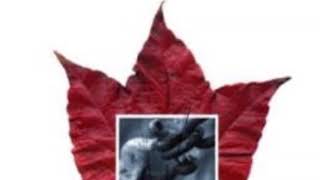 Cable Car Theory &quot;How to Break Orbit and Thwart a Muse&quot;