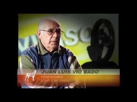 INVASOR Documental Archivo Hipódromo Nacional de Maroñas  #uruguay #hipica #triplecorona #invasor