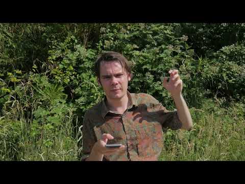 Consciousness, Qualia and Internal Monologues