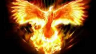 Slide passaro de fogo &quot;Paula Fernandes&quot;